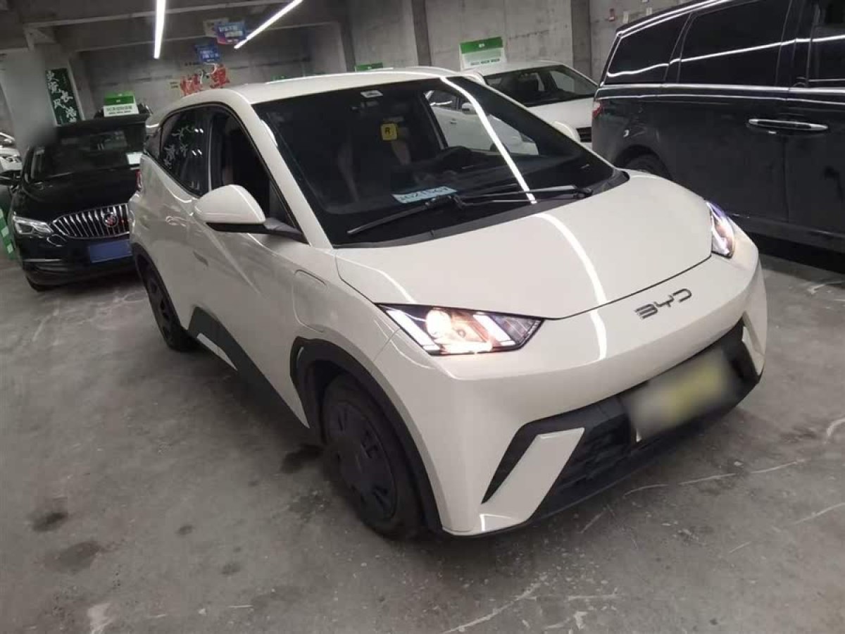 比亞迪 海鷗  2023款 活力版圖片