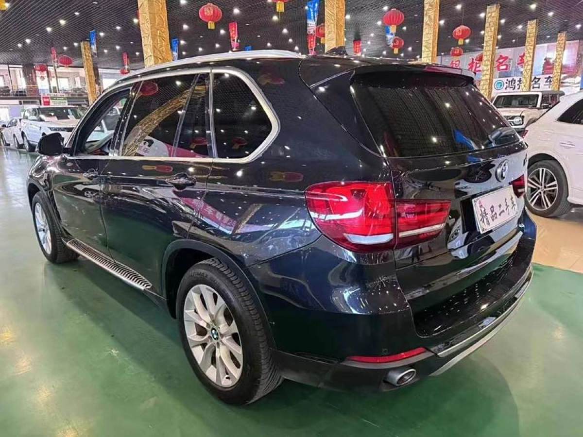 寶馬 寶馬X5  2014款 xDrive35i 領(lǐng)先型圖片