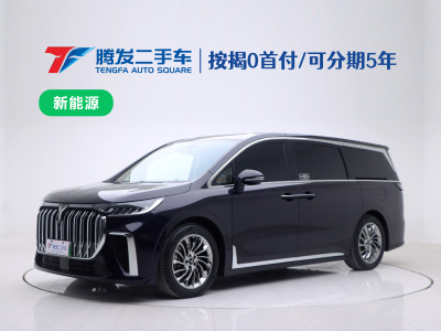 2023年10月 嵐圖 夢想家 PHEV 超長續(xù)航旗艦版圖片