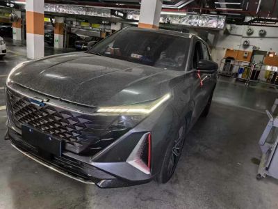 2022年1月 長(zhǎng)安歐尚 科尚 1.5T 自動(dòng)商務(wù)型圖片
