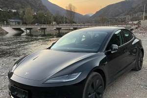 Model 3 特斯拉 后轮驱动版