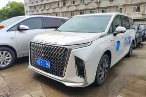 風(fēng)光MINIEV 東風(fēng)風(fēng)光 實(shí)尚款 實(shí)用型