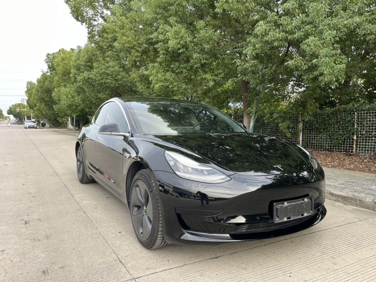 特斯拉 Model 3  2019款 標(biāo)準(zhǔn)續(xù)航后驅(qū)升級(jí)版圖片