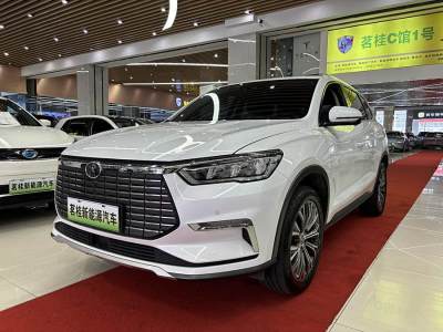 2021年2月 比亚迪 宋Pro新能源 EV 高功率版尊贵型图片