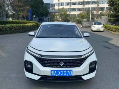 2021年1月 寶駿 寶駿Valli 1.5T 伊犁牧場(chǎng) CVT豪華型圖片