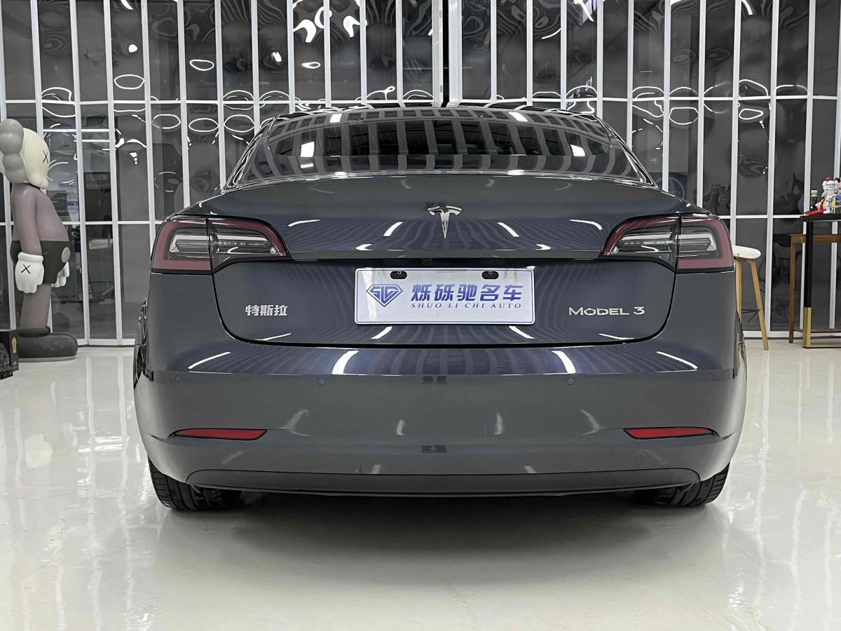 特斯拉 Model 3  2019款 標準續(xù)航后驅升級版圖片