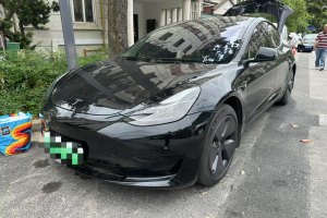 Model 3 特斯拉 后輪驅(qū)動版