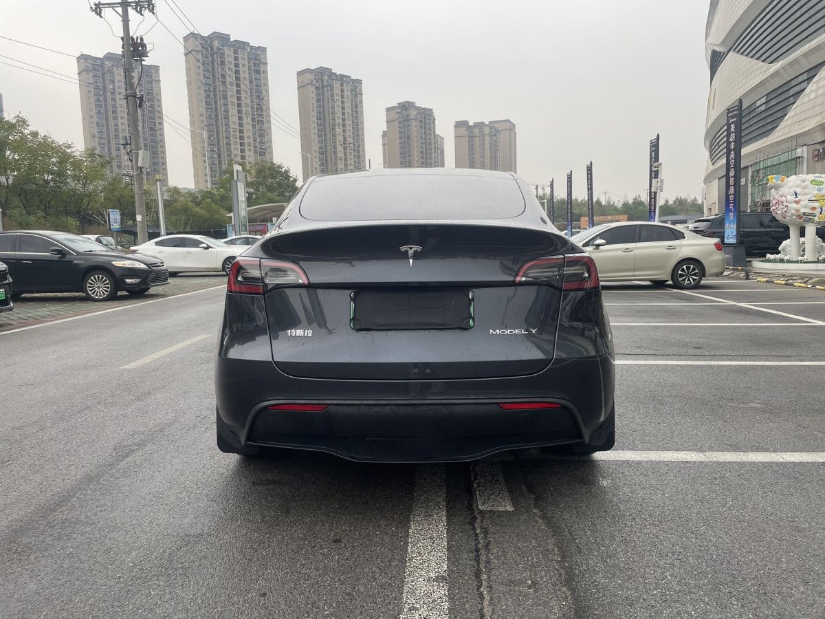 特斯拉 Model Y  2020款 改款 長續(xù)航后輪驅(qū)動版圖片