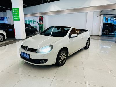 2014年9月 大众 高尔夫(进口) 1.4TSI 舒适敞篷版图片