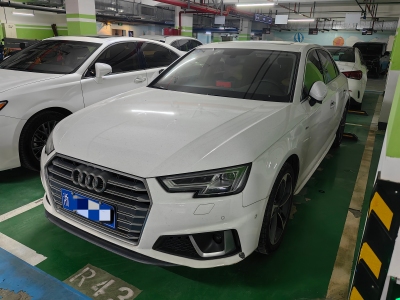 2019年1月 奧迪 奧迪A4L 40 TFSI 時(shí)尚型 國V圖片