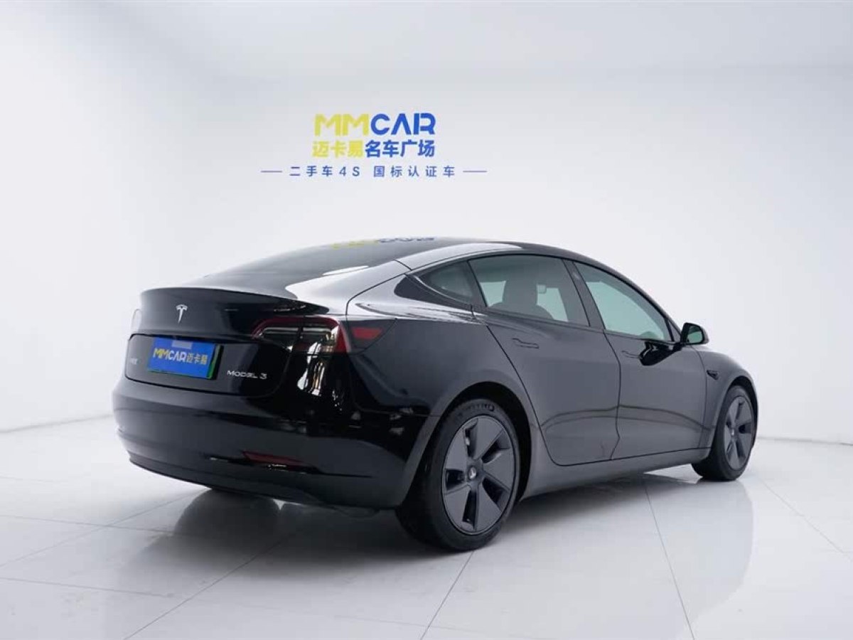 特斯拉 Model 3  2021款 標(biāo)準(zhǔn)續(xù)航后驅(qū)升級(jí)版 3D6圖片