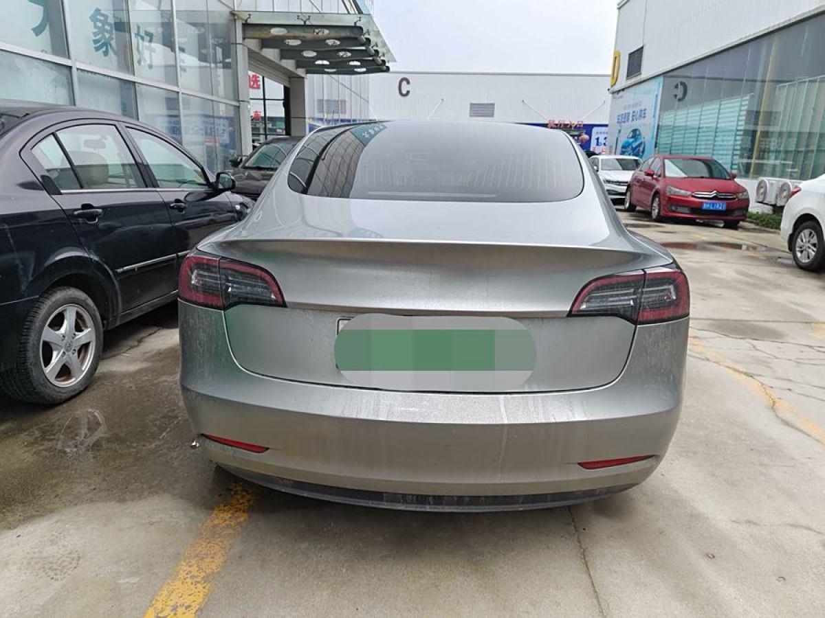 特斯拉 Model 3  2019款 標(biāo)準(zhǔn)續(xù)航后驅(qū)升級版圖片