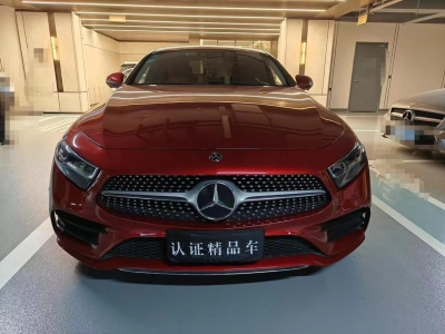 2019年7月 奔馳 奔馳CLS級(jí)(進(jìn)口) CLS 300 豪華型圖片