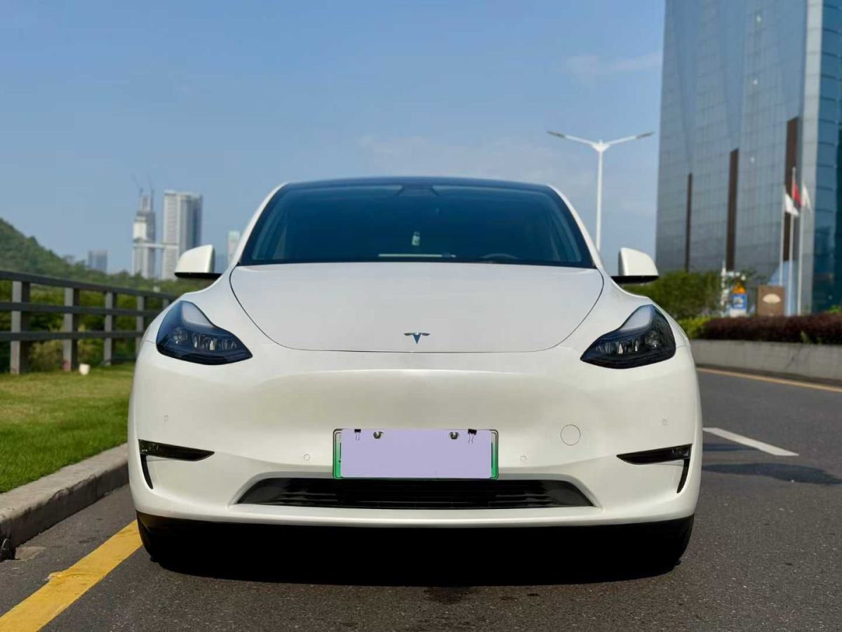 特斯拉 Model S  2021款 Performance 高性能版圖片