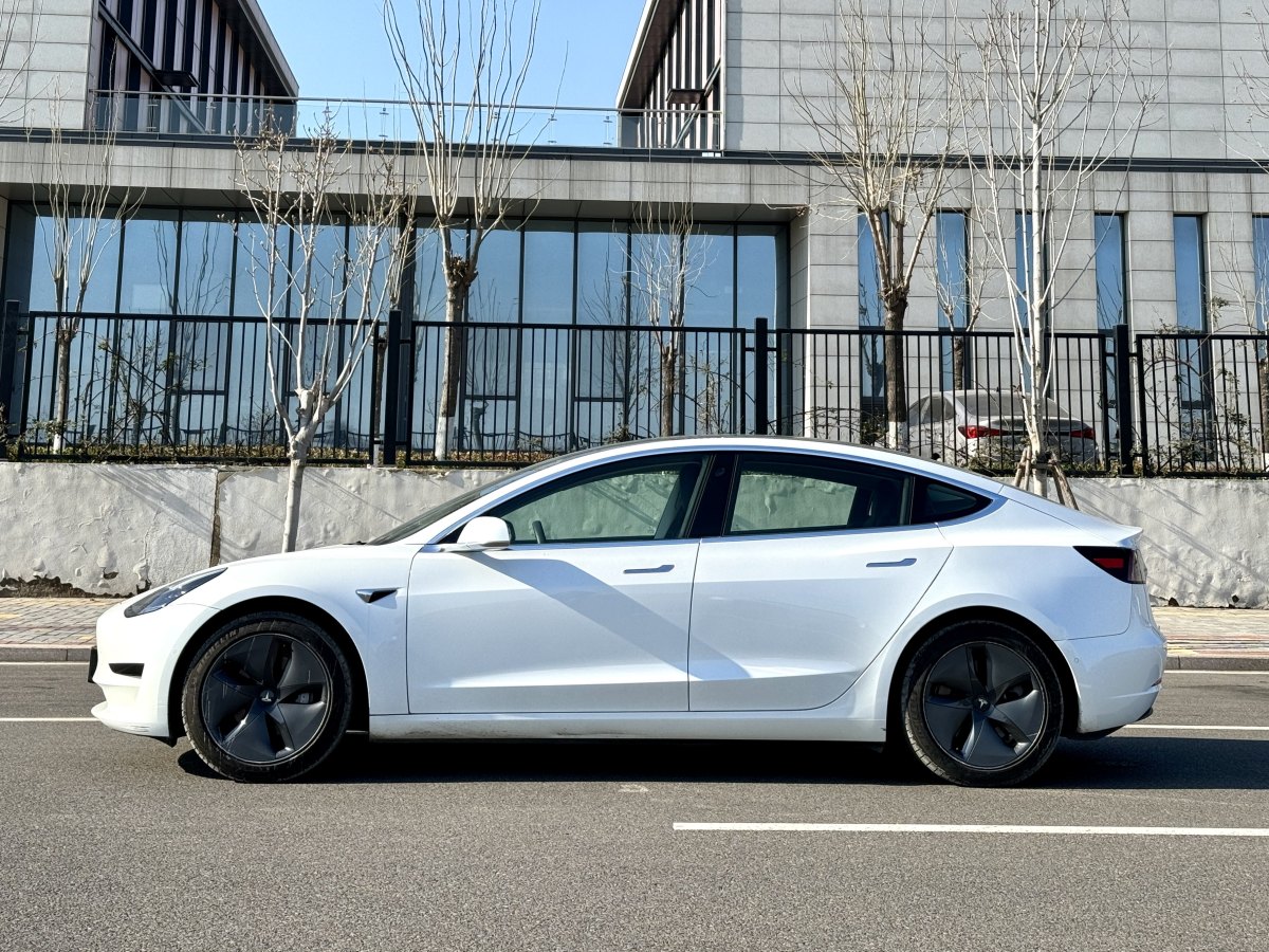 特斯拉 Model 3  2019款 標(biāo)準(zhǔn)續(xù)航后驅(qū)升級(jí)版圖片