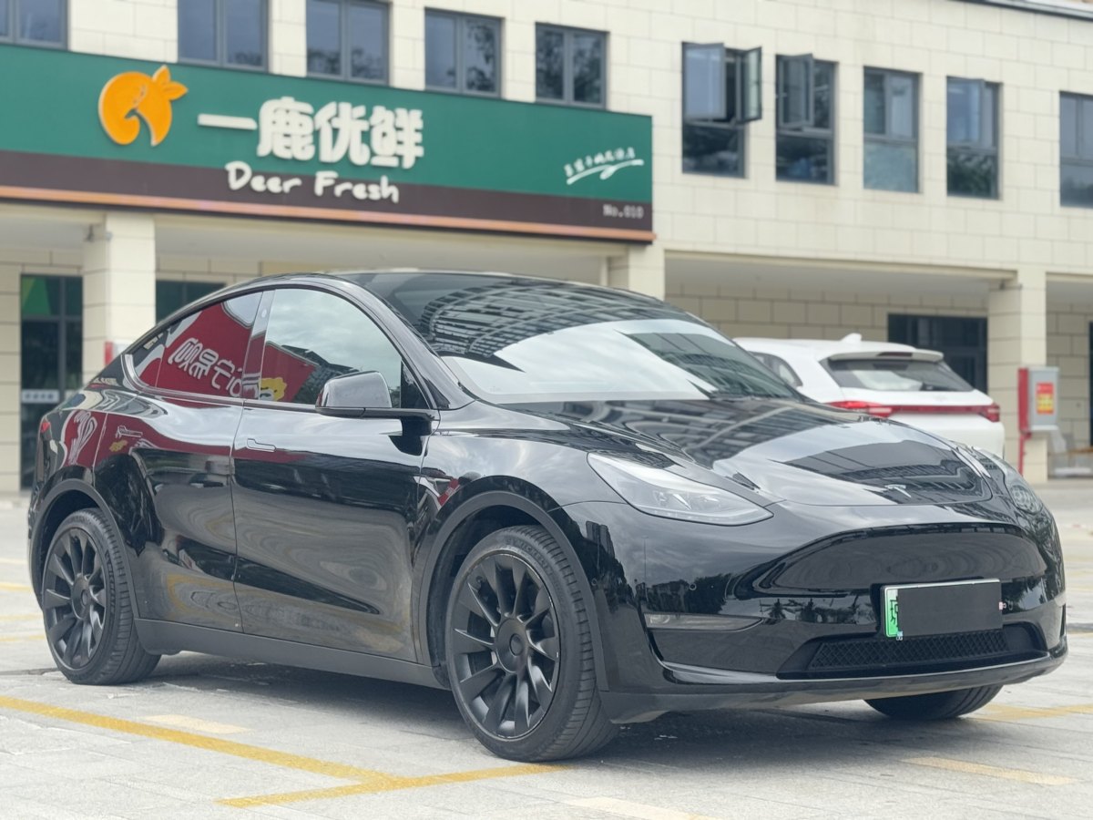 特斯拉 Model 3  2021款 改款 標準續(xù)航后驅升級版圖片