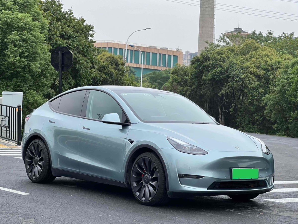 特斯拉 Model Y  2022款 Performance高性能全輪驅(qū)動(dòng)版圖片