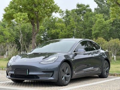 2020年10月 特斯拉 Model 3 改款 標(biāo)準(zhǔn)續(xù)航后驅(qū)升級(jí)版圖片