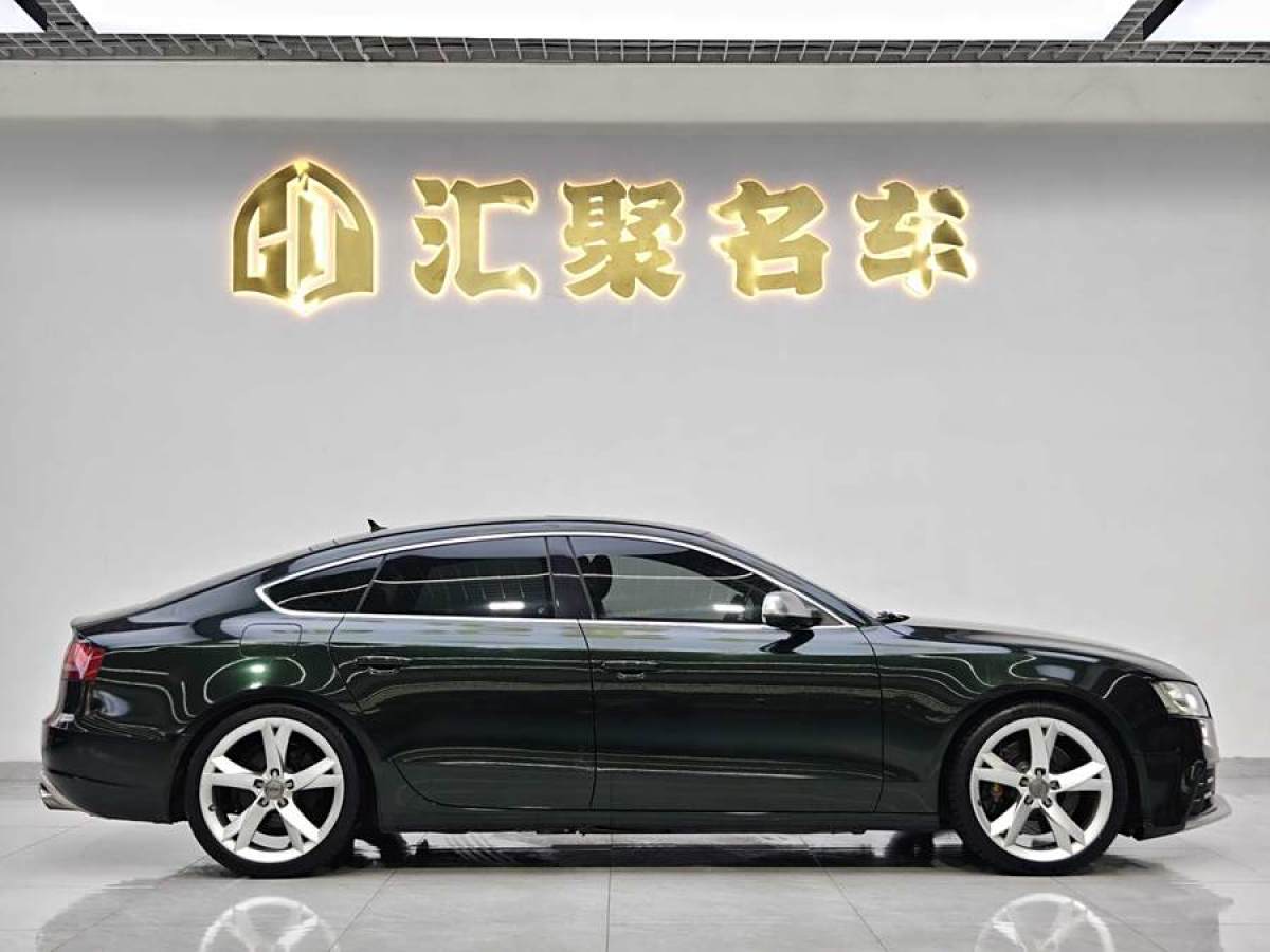 奧迪 奧迪A5  2010款 2.0TFSI Sportback 技術(shù)型圖片