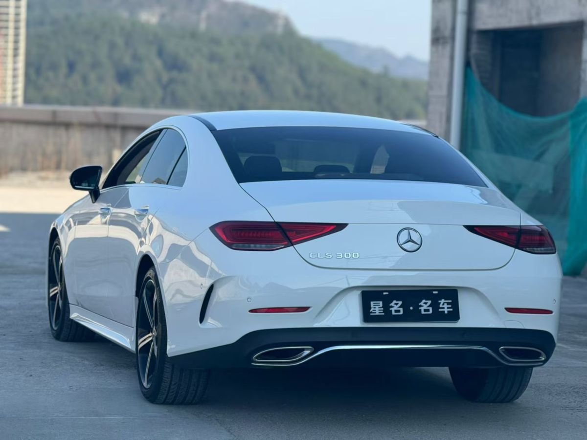 奔馳 奔馳CLS級(jí)  2020款 CLS 300 豪華型圖片