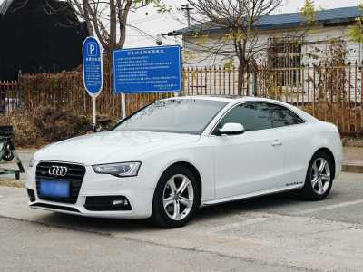 2014年4月 奧迪 奧迪A5(進(jìn)口) Coupe 40 TFSI quattro圖片