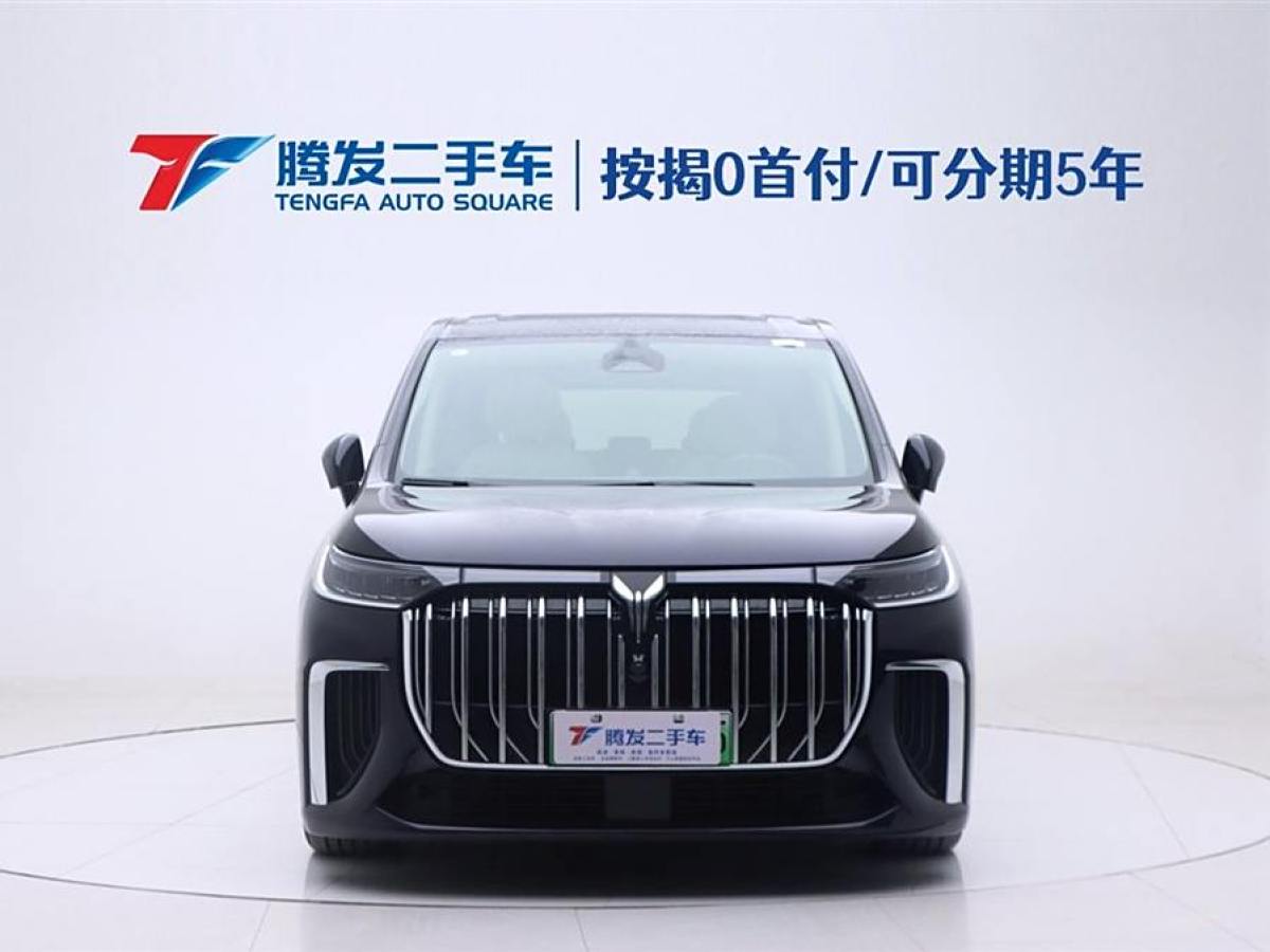 嵐圖 夢想家  2024款 PHEV 超長續(xù)航旗艦版圖片