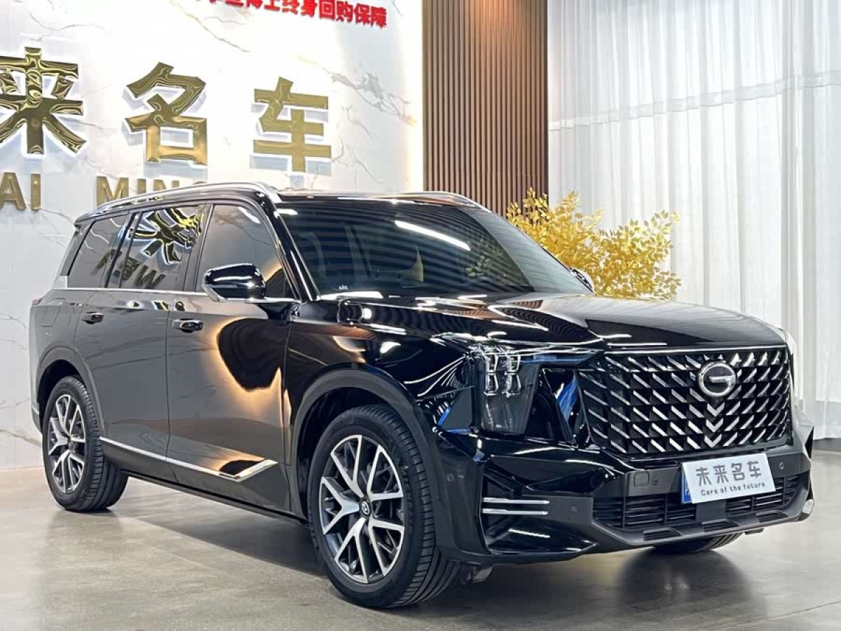廣汽傳祺 GS8  2022款 領(lǐng)航系列 2.0TGDI 兩驅(qū)尊貴版（七座）圖片