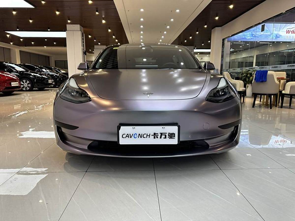 特斯拉 Model 3  2021款 改款 標(biāo)準(zhǔn)續(xù)航后驅(qū)升級(jí)版圖片