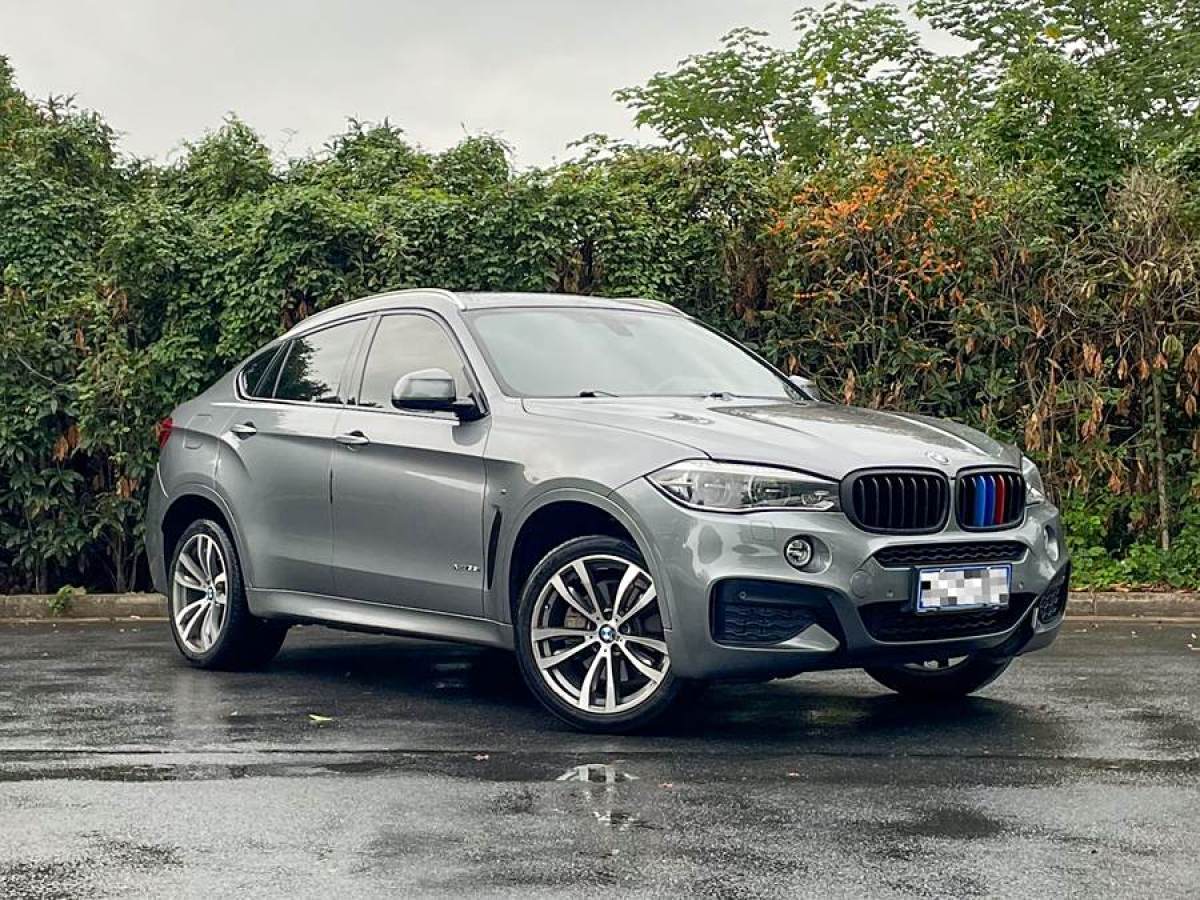 寶馬 寶馬X6  2015款 xDrive35i 領(lǐng)先型圖片