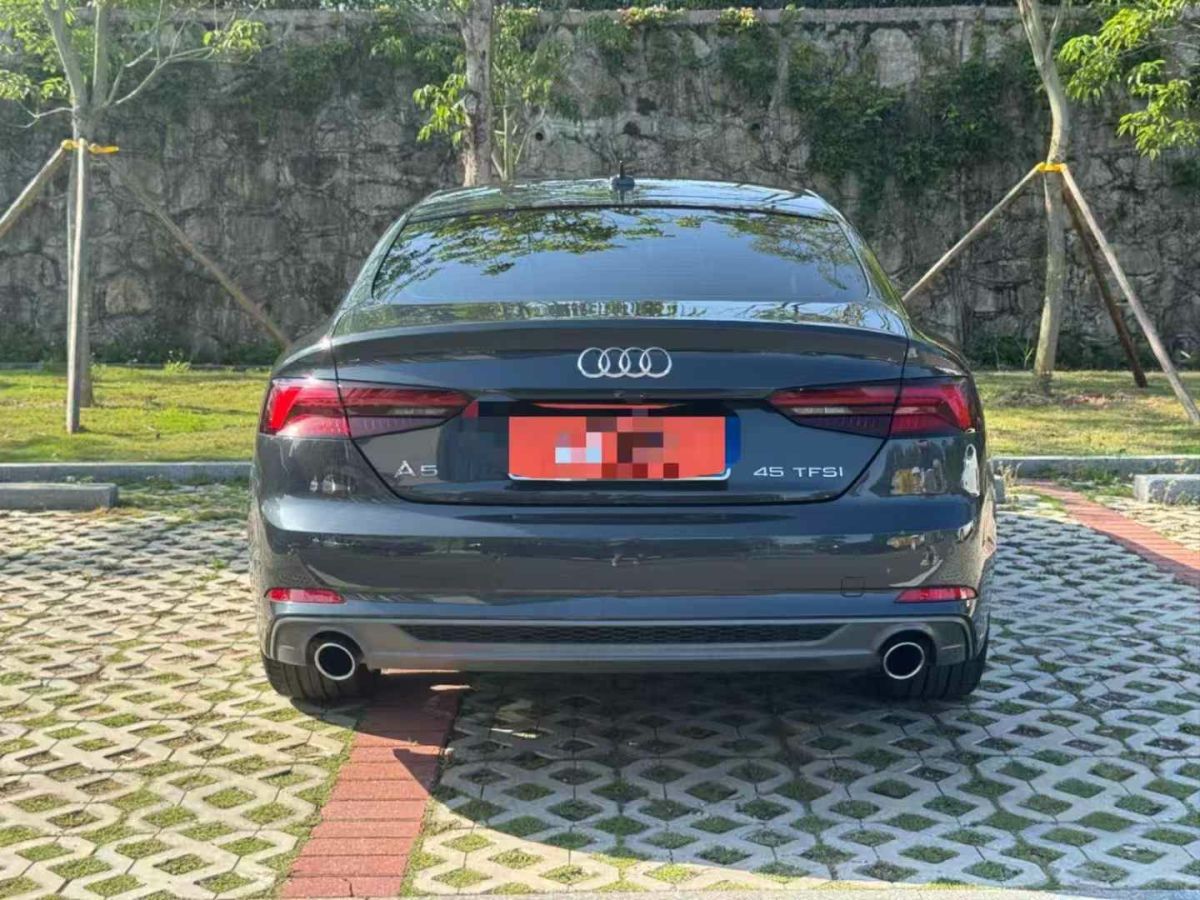 奧迪 奧迪Q3  2019款  45 TFSI quattro 豪華動感型圖片
