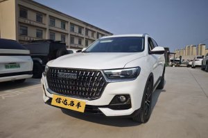 H6 哈弗 國(guó)潮版 1.5T 自動(dòng)都市版