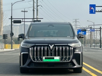 2023年10月 嵐圖 夢(mèng)想家 PHEV 超長(zhǎng)續(xù)航卓越版圖片