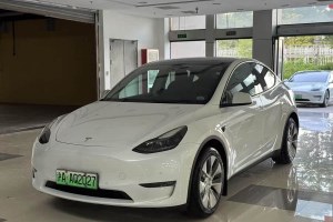 Model Y 特斯拉 改款 長(zhǎng)續(xù)航全輪驅(qū)動(dòng)版