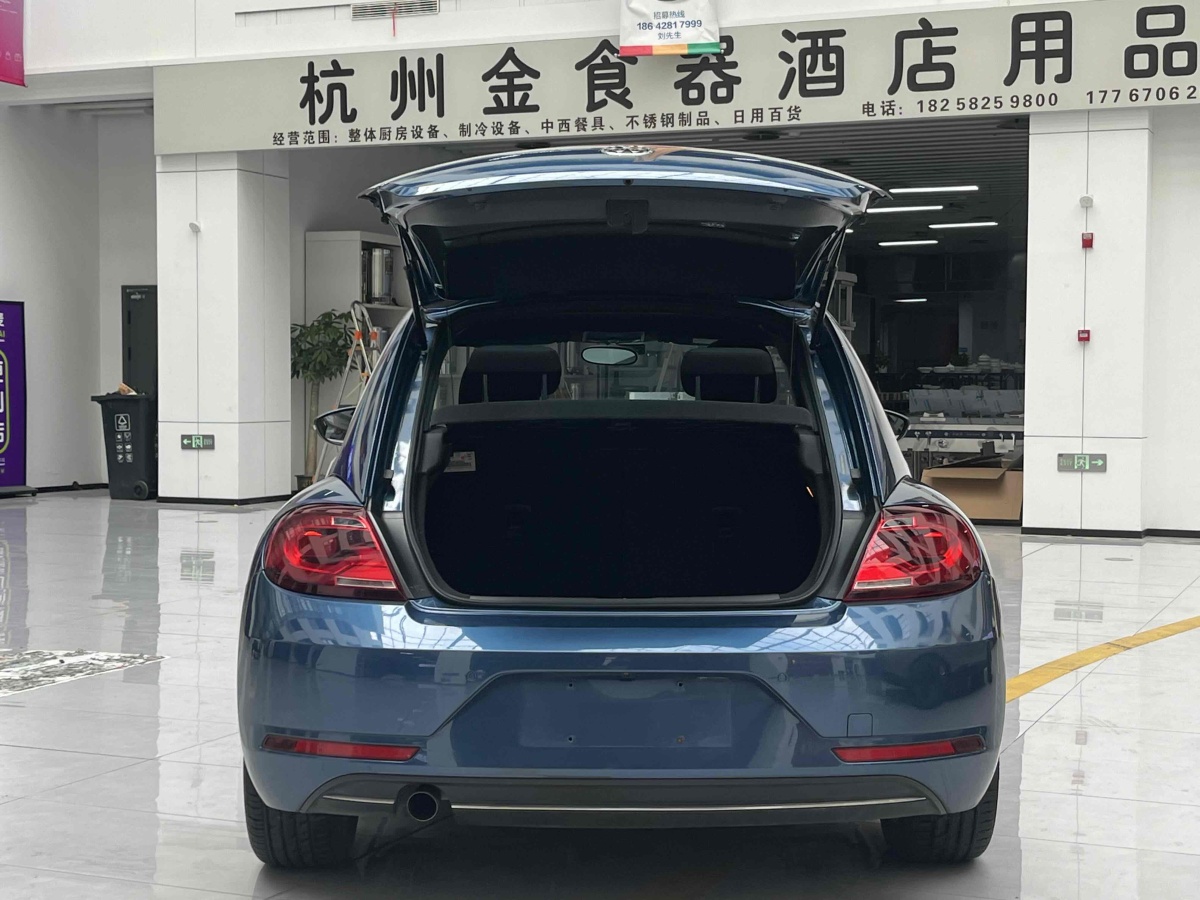 大眾 甲殼蟲  2018款 180TSI 宜樂型圖片