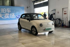 歐拉黑貓 歐拉 301km 基礎(chǔ)型