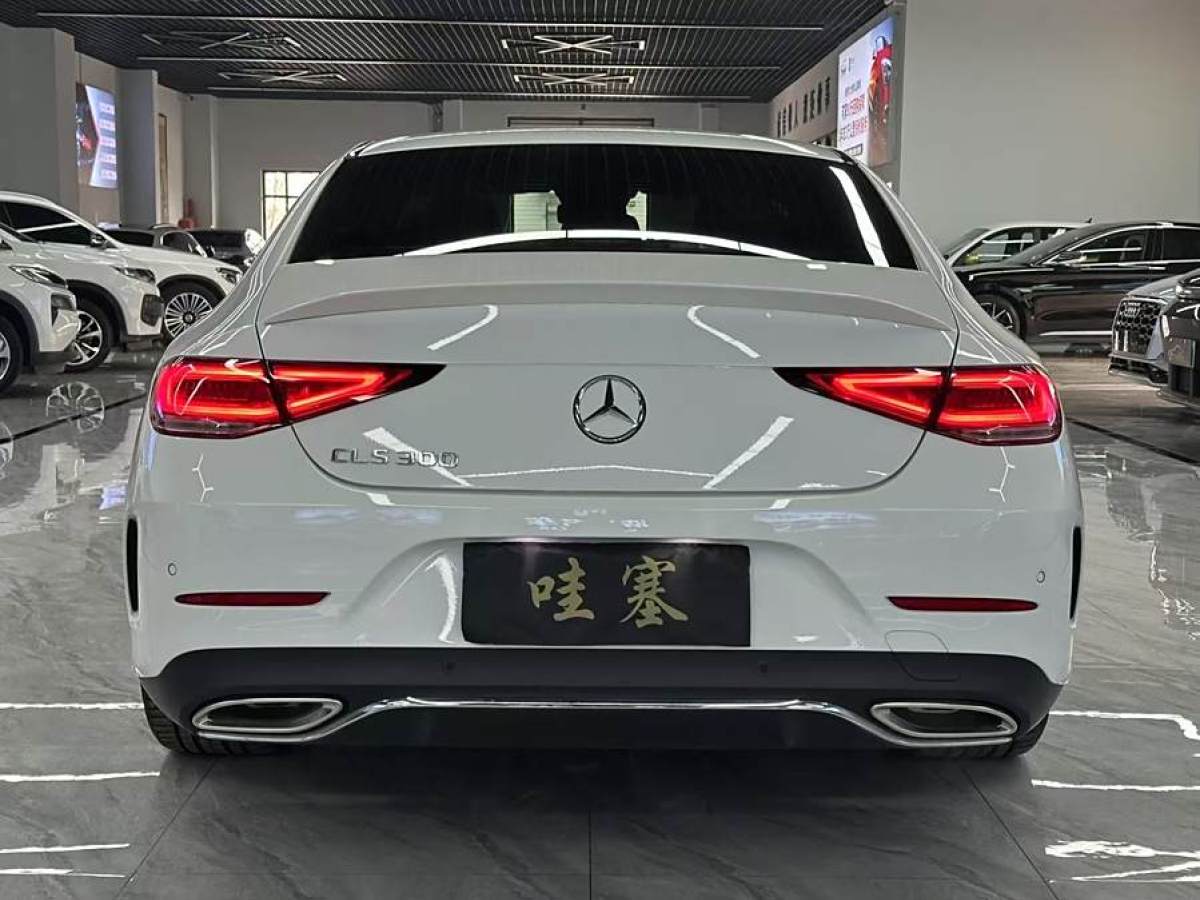 奔馳 奔馳CLS級  2022款 CLS 300 豪華型圖片