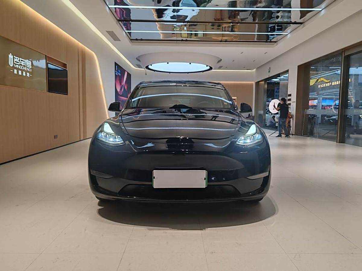 特斯拉 Model Y  2021款 改款 標(biāo)準(zhǔn)續(xù)航后驅(qū)升級(jí)版圖片