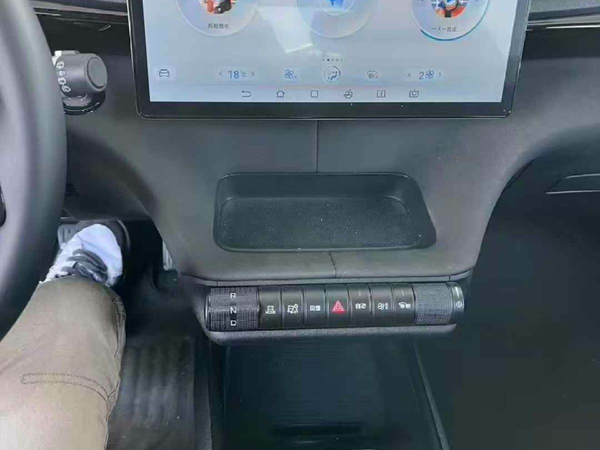 比亞迪 海豚  2025款 420km 自由版圖片