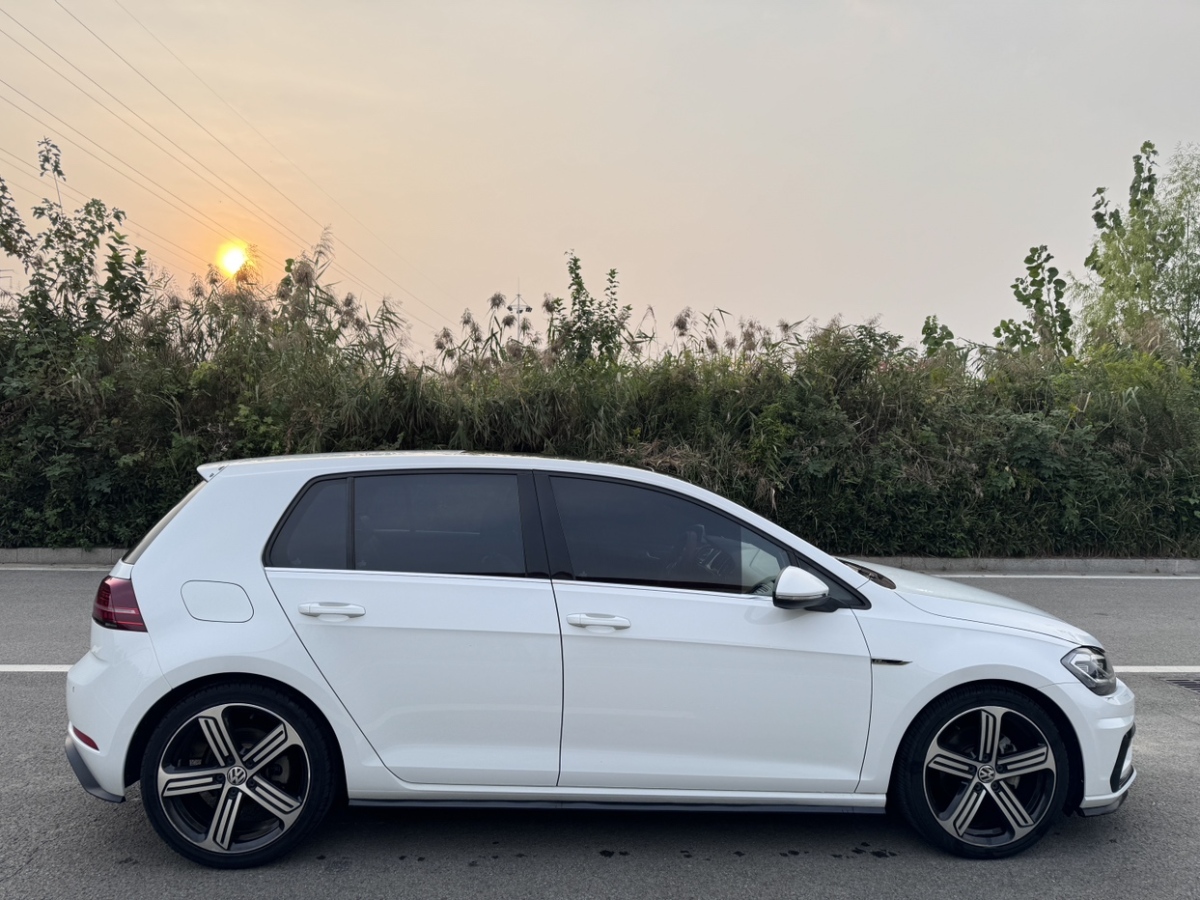 2018年7月大眾 高爾夫  2018款 280TSI 自動R-Line型