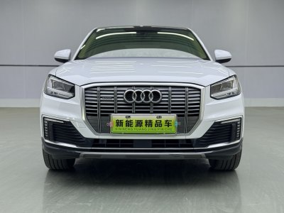 2020年11月 奥迪 Q2L e-tron e-tron 纯电智享型图片