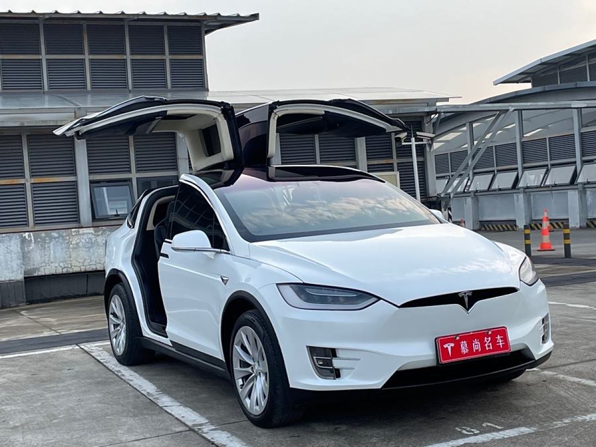 特斯拉 Model X  2017款 Model X 100D 長續(xù)航版圖片