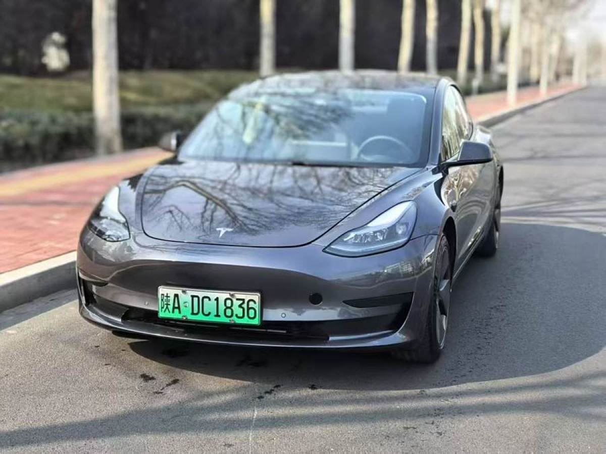 特斯拉 Model 3  2021款 改款 標(biāo)準(zhǔn)續(xù)航后驅(qū)升級版圖片