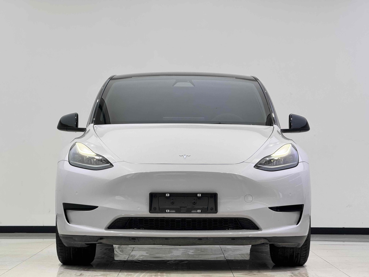 特斯拉 Model 3  2020款 改款 長續(xù)航后輪驅(qū)動版圖片