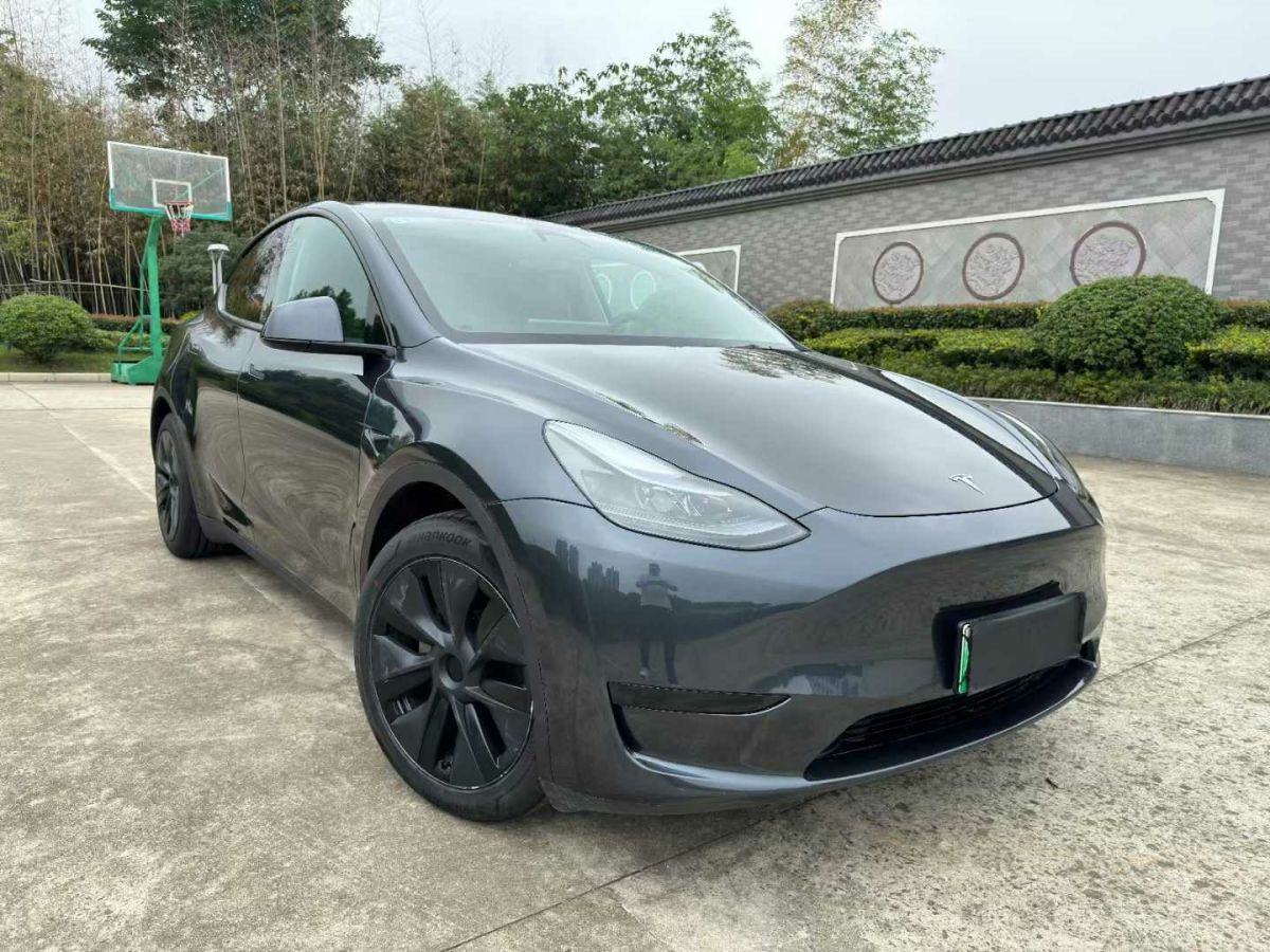 特斯拉 Model Y  2024款 Performance高性能版圖片