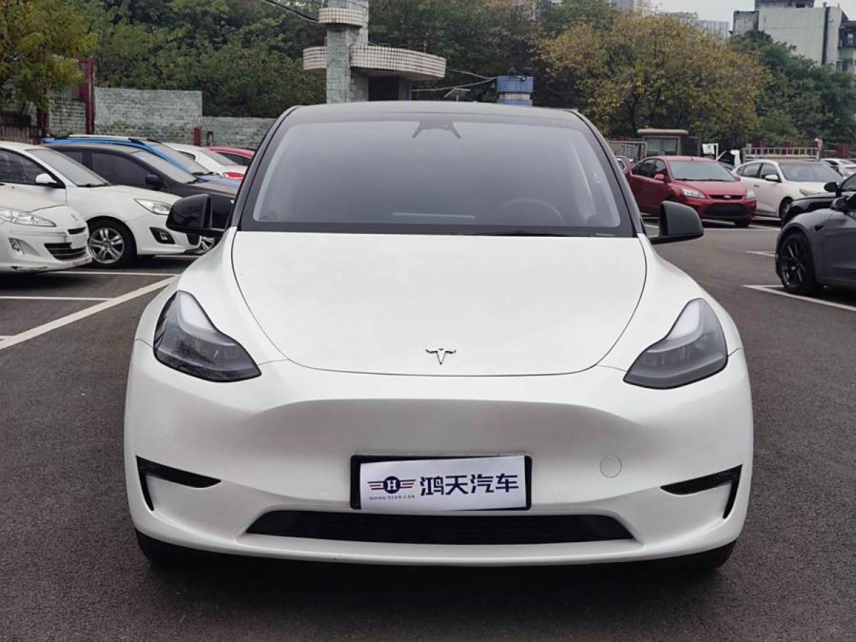 特斯拉 Model Y  2022款 改款 長(zhǎng)續(xù)航全輪驅(qū)動(dòng)版圖片