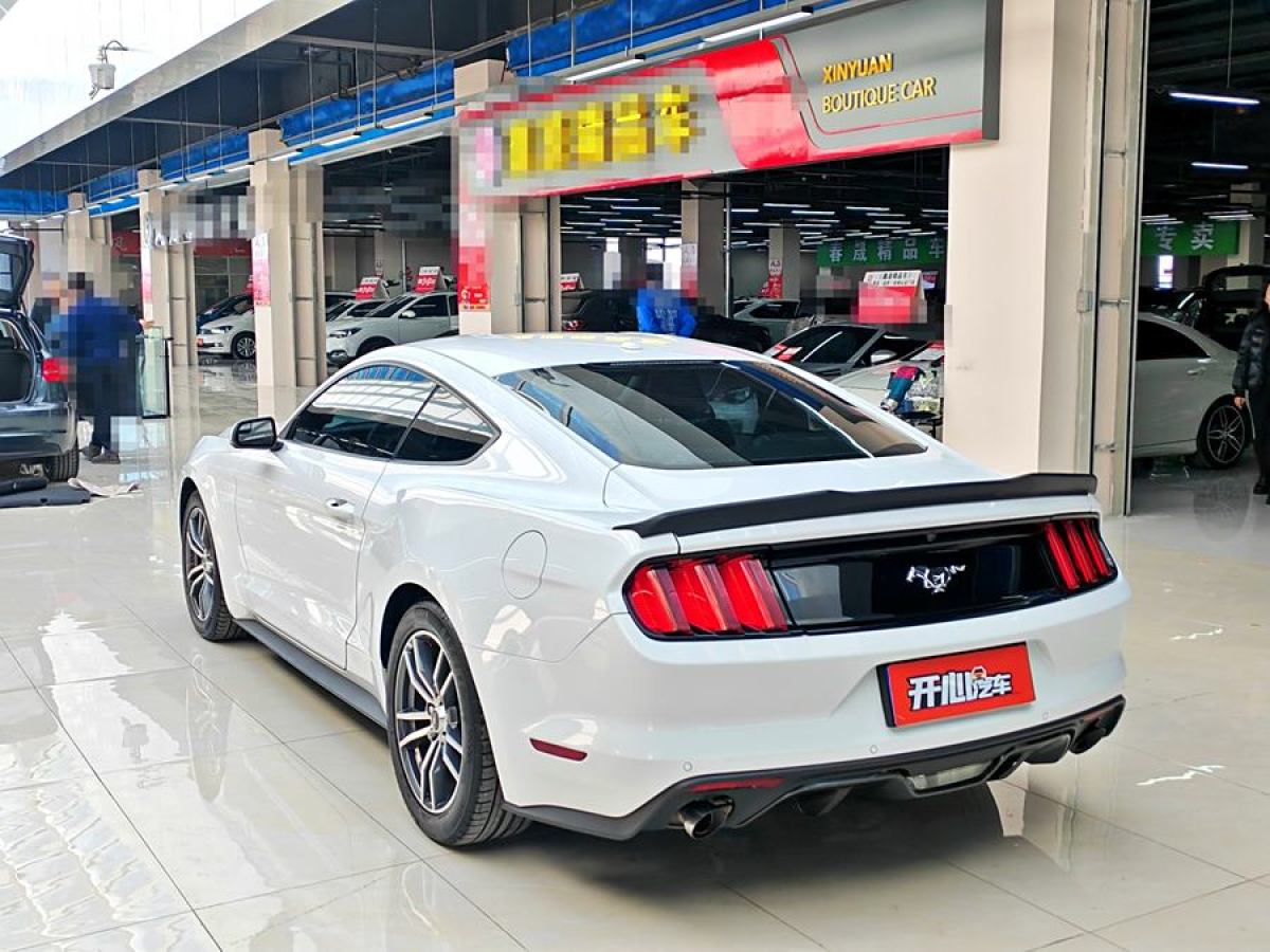 福特 Mustang  2016款 2.3T 性能版圖片