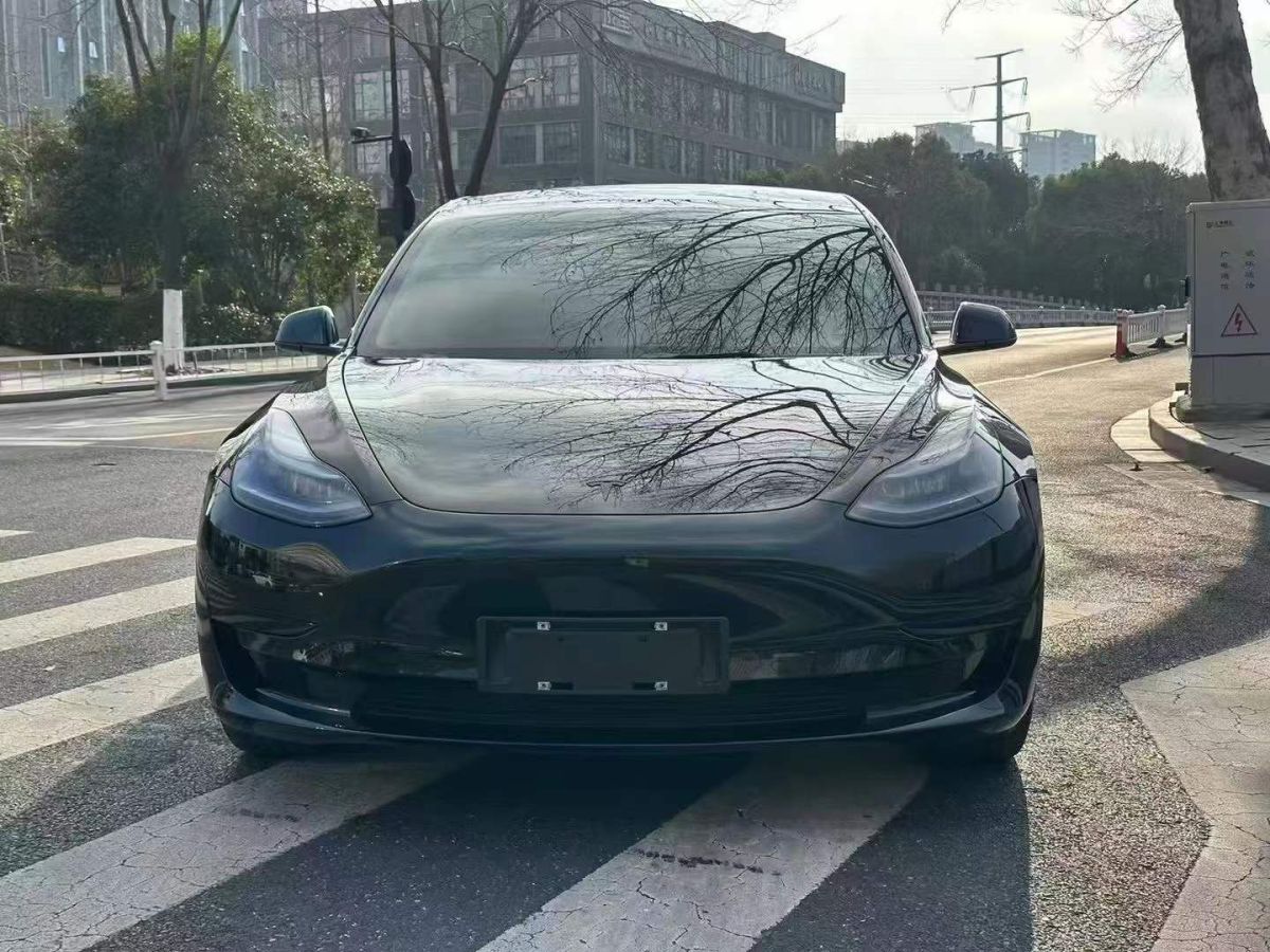 2023年1月特斯拉 Model S  2023款 三電機(jī)全輪驅(qū)動(dòng) Plaid版