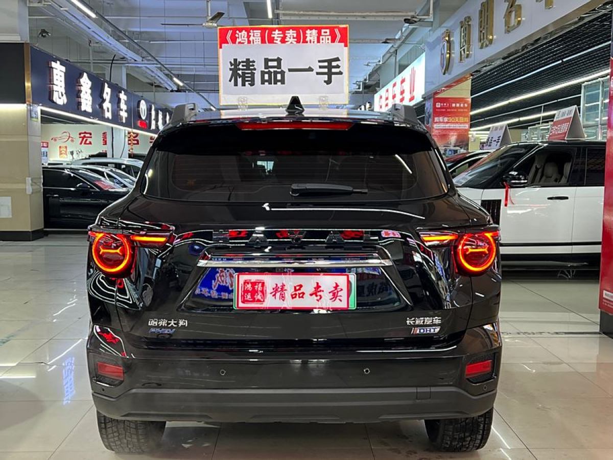 哈弗 哈弗二代大狗新能源  2024款 Hi4 102km 潮電版Plus圖片