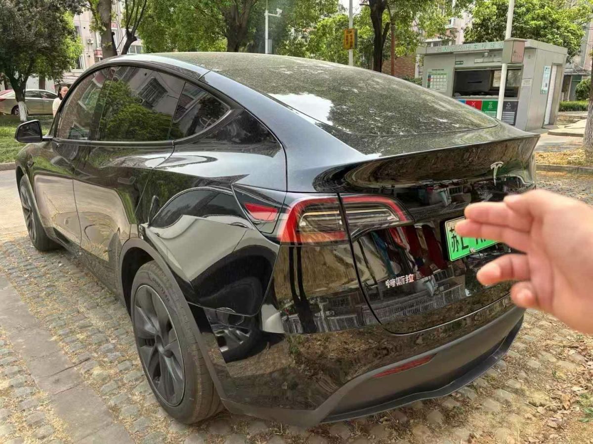 特斯拉 Model Y  2024款 Performance高性能版圖片