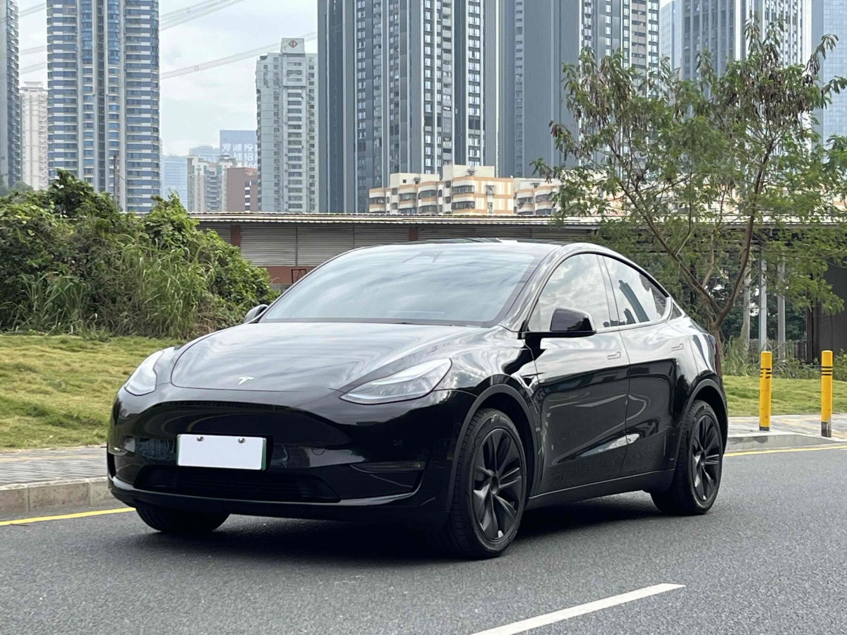 特斯拉 Model 3  2023款 長續(xù)航煥新版 雙電機全輪驅(qū)動圖片